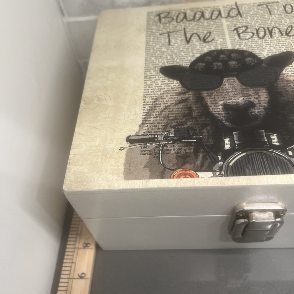 Baaad Space To The Bone Trinket Box - Picture 4 of 9